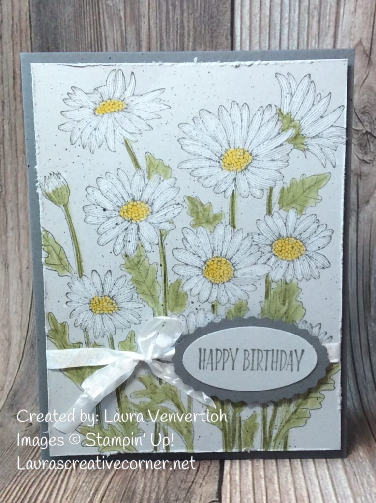 Delicate Daisy Garden